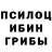Псилоцибиновые грибы Psilocybine cubensis D Caraballo