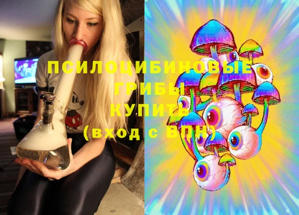 МДПВ Алексеевка