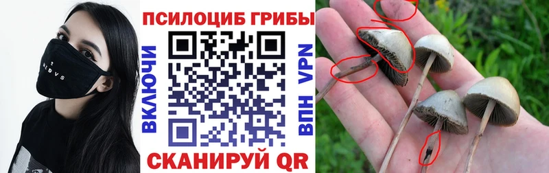 наркота  Пыталово  Псилоцибиновые грибы прущие грибы 